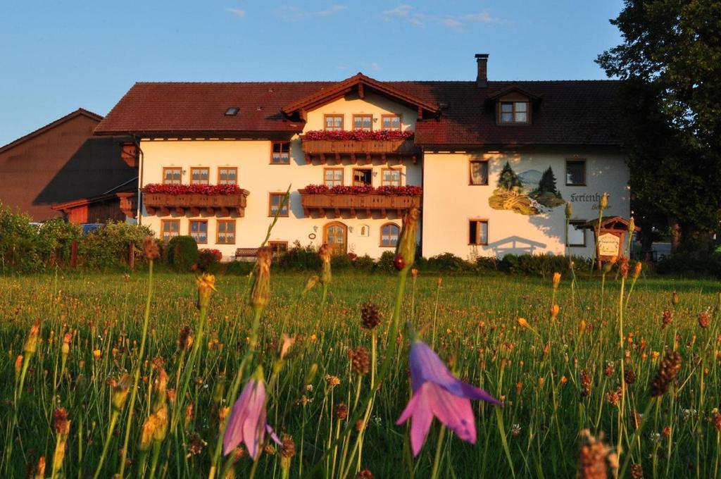 Bauernhof Bauer Apartment Zwiesel Exterior photo